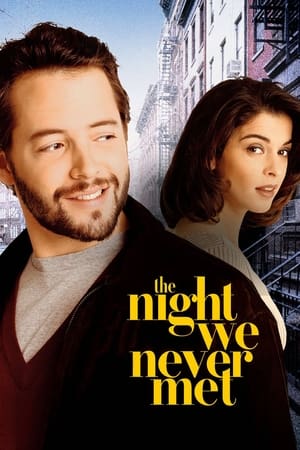 The Night We Never Met 1993