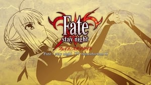 Fate/stay night TV Reproduction 2