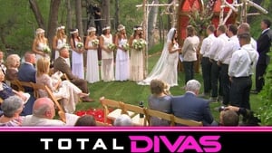 Total Divas Wedding Mania