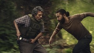 Images posters