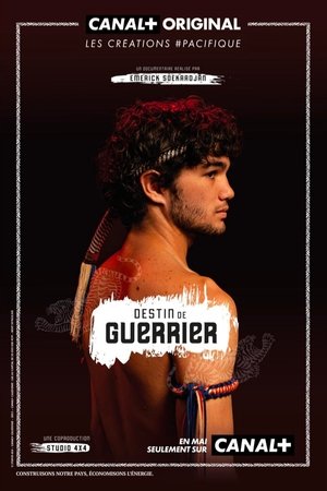 Poster Destin de guerrier 2024