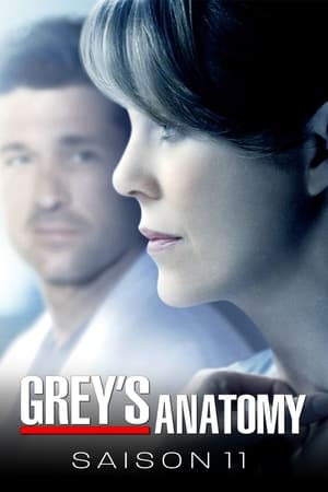Grey's Anatomy: Saison 11