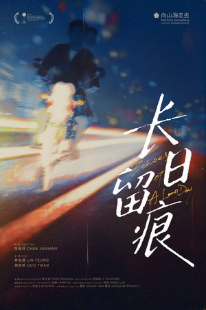 Echoes of A Long Day poster