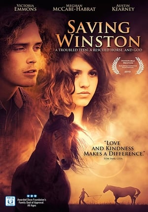 Poster Saving Winston (2011)