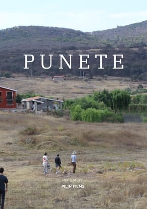 Image "PUNETE"