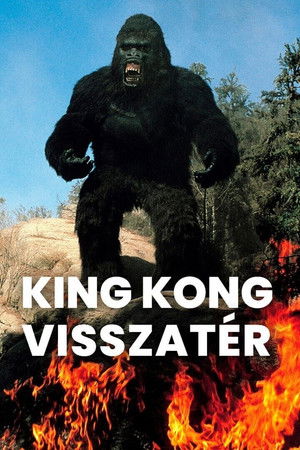 Image King Kong visszatér