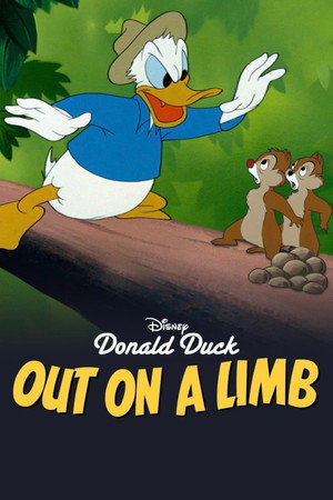 Out on a Limb