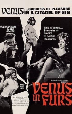 Poster Venus in Furs 1967