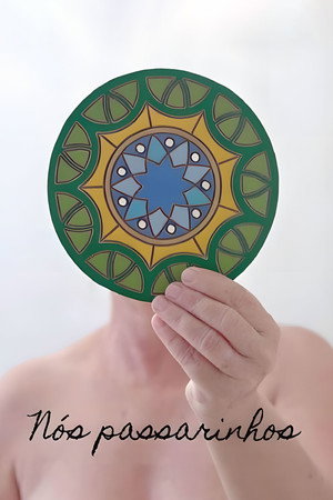 Nós Passarinhos 3
