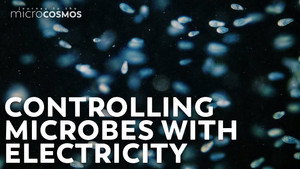 How Electricity Brings Order To Chaos still