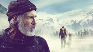 El Llamado Salvaje Película Completa HD 1080p [MEGA] [LATINO] 2020