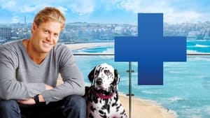 poster Bondi Vet