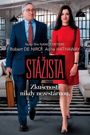 Poster Stážista 2015