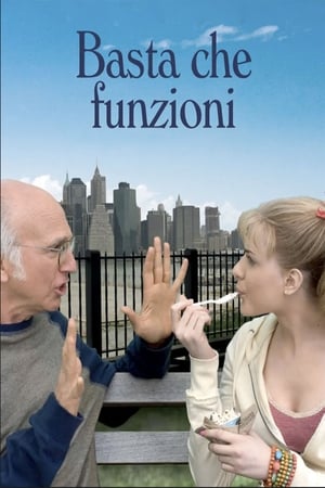 Basta che funzioni 2009