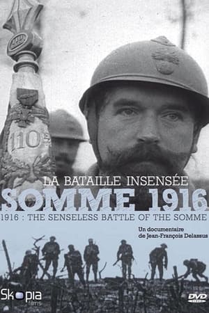 Poster Somme 1916, la bataille insensée (2016)