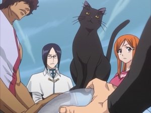 Bleach Season 1 Episode 25