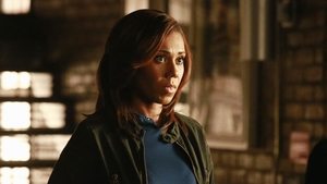 Castle 8×18 Temporada 8 Capitulo 18 Online Español Latino