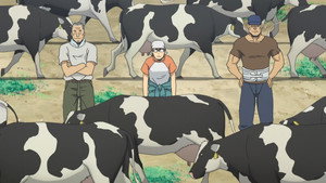 Episódio 8 - Hachiken comete um grande erro - Silver Spoon