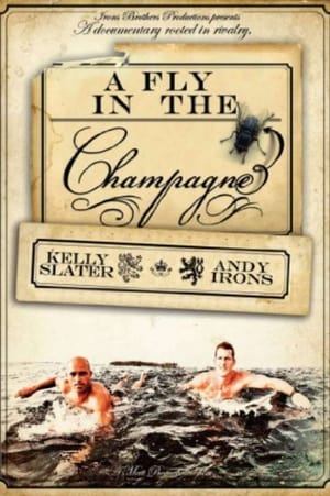 Poster A Fly in the Champagne (2009)