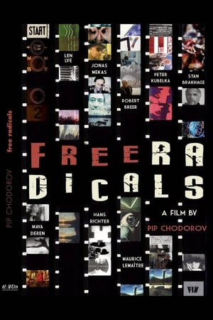 Poster Free Radicals: A History of Experimental Film 2011