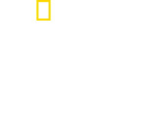 Dr. T, Lone Star Vet — Logos 1