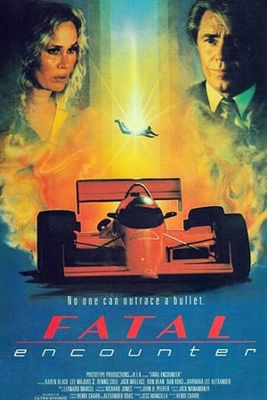 Poster Fatal Encounter (1990)