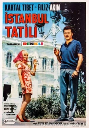 Poster İstanbul Tatili (1968)