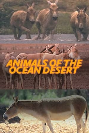 Poster Animals of the Ocean Desert 2001