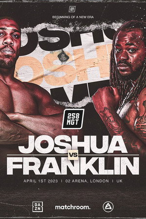 Anthony Joshua vs. Jermaine Franklin 5