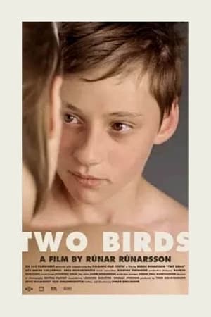 Poster Two Birds 2008