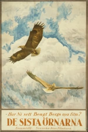 Poster Sagan om de sista örnarna (1923)