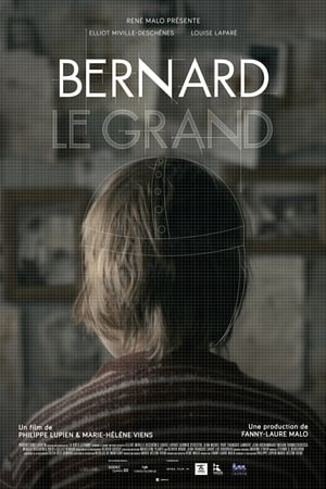 Poster Bernard the Great (2013)