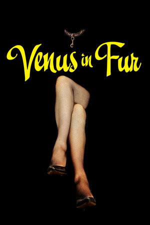 Venus in Fur 54