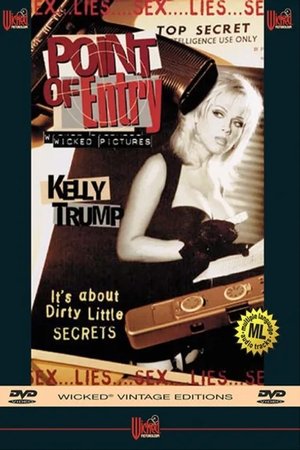 Poster Point of Entry 1996