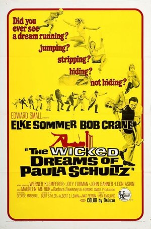 The Wicked Dreams of Paula Schultz poster