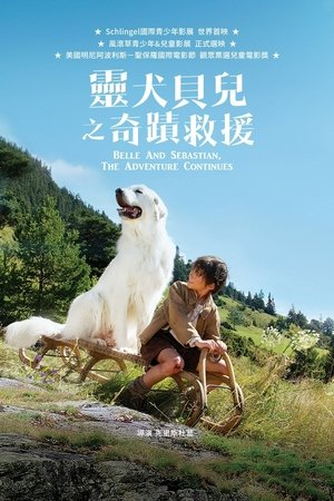 Image 灵犬雪莉：冒险再出发