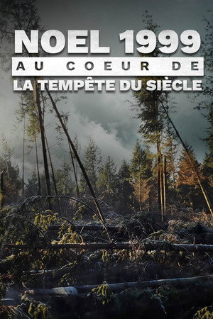  Noël 1999 : Au coeur de la tempête du siècle affiche 
