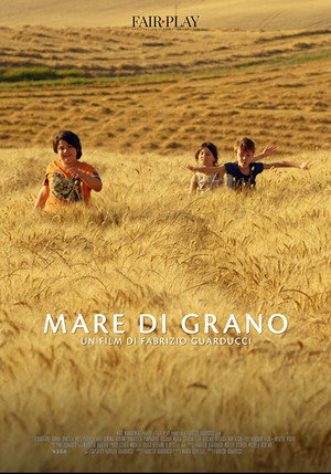Mare di grano 4