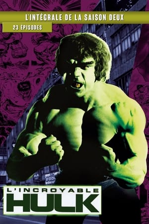 L'incroyable Hulk - Saison 2 - poster n°1