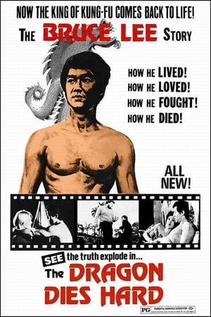 Bruce Lee: A Dragon Story poster