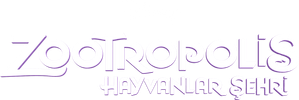 Zootropolis: Hayvanlar Şehri