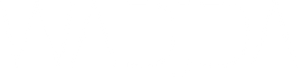 Wadjda