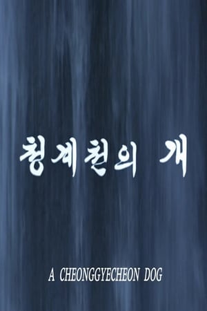 Image 청계천의 개