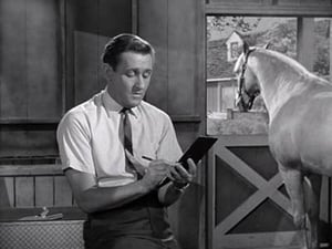 Mr. Ed: 4×2