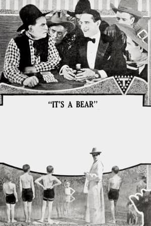 Image It's a Bear