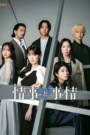 情事と事情 movie poster