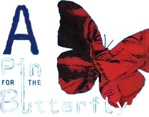 A Pin for the Butterfly