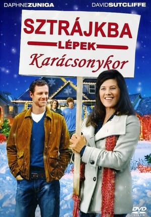 Poster Sztrájkba lépek karácsonyra 2010