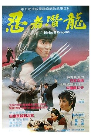 Poster Ninjas and Dragons (1984)