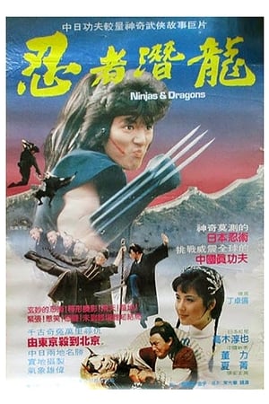 Poster Ninjas and Dragons 1984